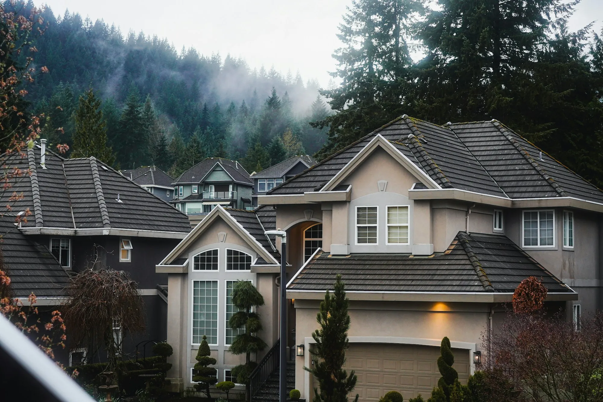 Suburban homes nestled among tall evergreen trees
