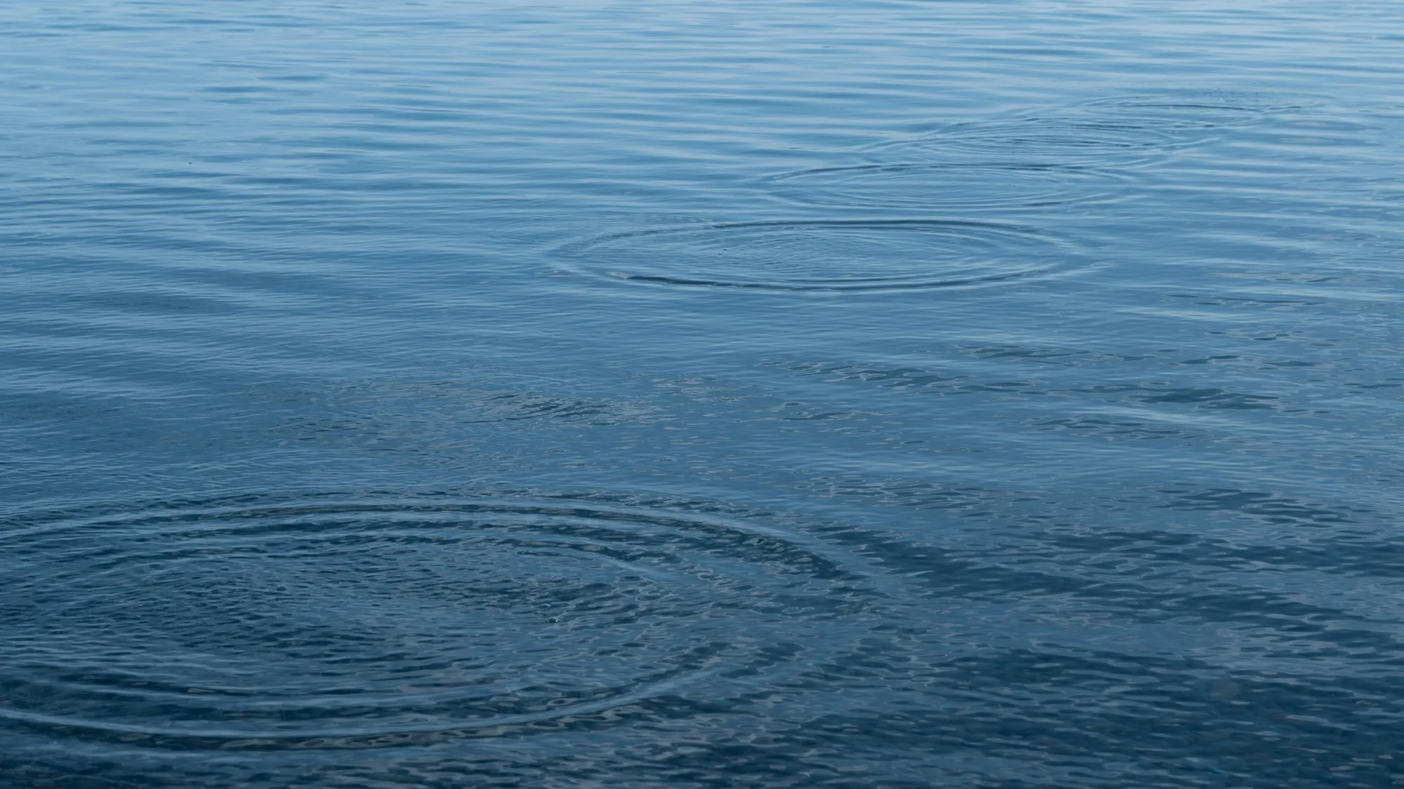 Gentle ripples across open water